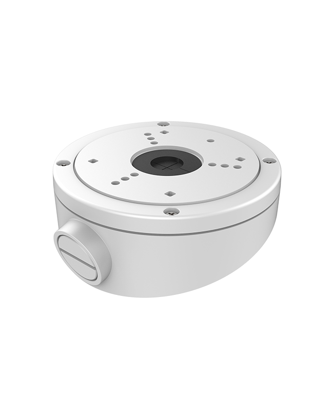 DS-1281ZJ-S